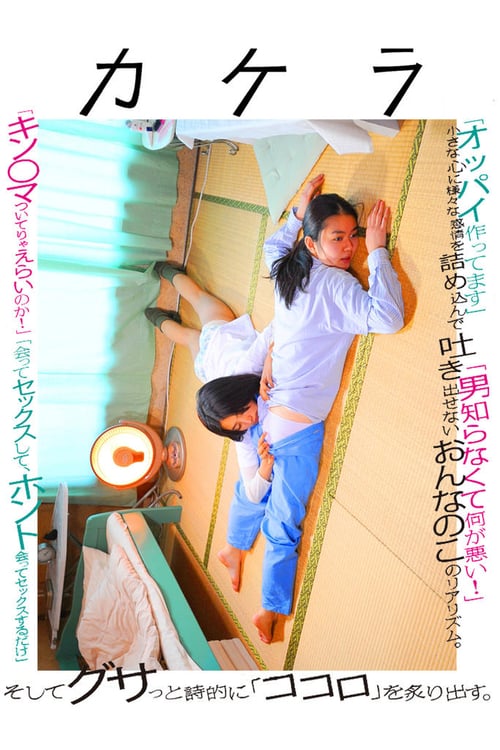 ดูหนังออนไลน์ฟรี 18+ Kakera A Piece Of Our Life (2009) หนังแนวเลสเบี้ยนญี่ปุ่น