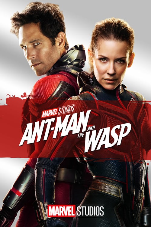 ดูหนังออนไลน์ฟรี Ant-man and the wasp (2019) แอนท์-แมน และ เดอะ วอสพ์