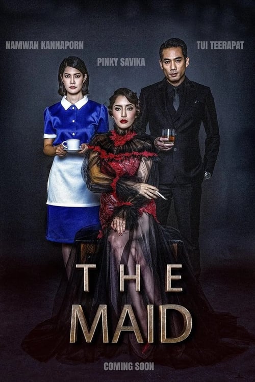 ดูหนังออนไลน์ฟรี The Maid (2020) สาวลับใช้