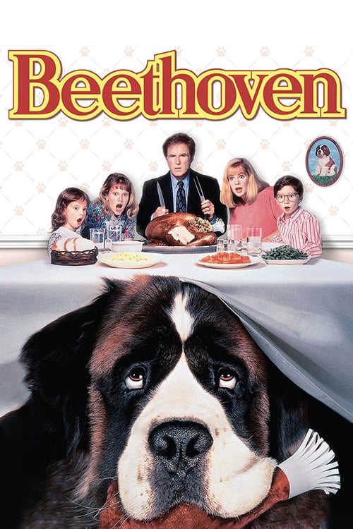 ดูหนังออนไลน์ฟรี Beethoven (1992) บีโธเฟน ชื่อหมาแต่ไม่ใช่หมา