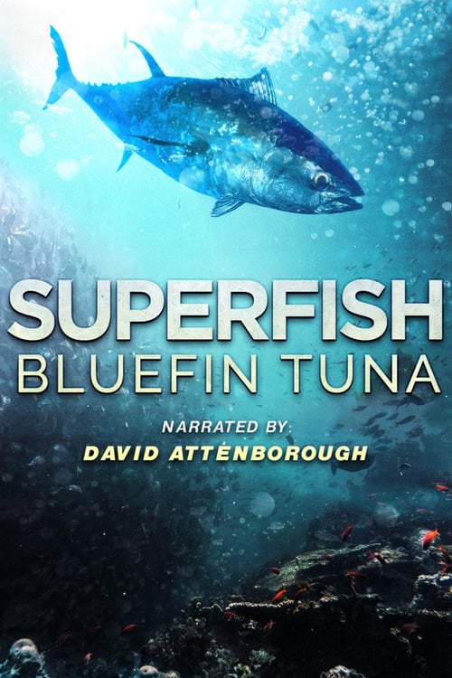 ดูหนังออนไลน์ฟรี Superfish Bluefin Tuna (2012)