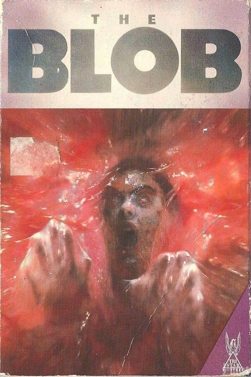 ดูหนังออนไลน์ฟรี The Blob (1988) เหนอะเคี้ยวโลก