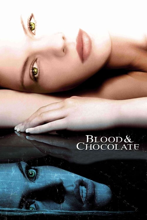 ดูหนังออนไลน์ฟรี Blood And Chocolate (2007) เจ้าสาวพันธุ์อสูร